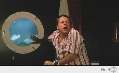 Крушение судна «Севоль»