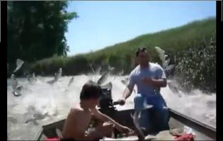 Если включить электроудочку, то процесс эволюции из рыбы в птицу проходит гораздо быстрее