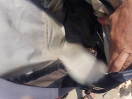 сегодня на феоленте поймали просто с маской 
капля на обьектив попала - не пинайте
там краб