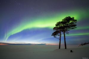 National Geographic: лучшие фотографии августа