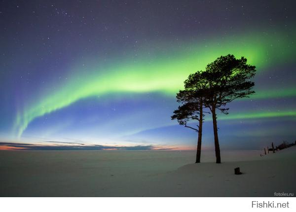 National Geographic: лучшие фотографии августа