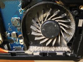 на второй фото найди кота )))