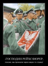 Не польское знамя, но как-то так;)