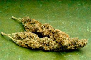 Лигалайз)))))