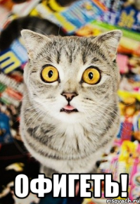 И смех и грех