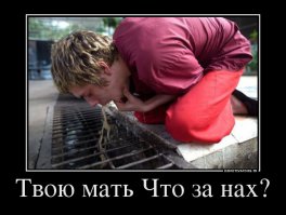 Пять причин ненавидеть "50 оттенков серого" от порнозвезд