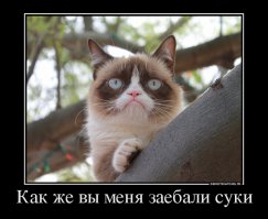 Нефтяные фьючерсы или почему цены на нефть так неустойчивы