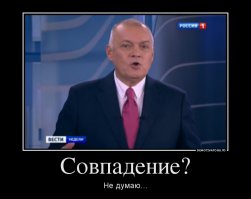 Фото, которые гарантированно поднимут вам настроение!