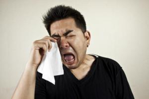 Кот преданный до смерти