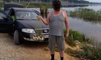 Когда я иду на рыбалку, у меня нет задачи поймать головля. Или язя. 
Мне бы хоть что-нибудь поймать...