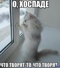 Чудики из социальных сетей