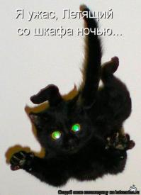 Ёшекин кот это - кот Ё(Йо)шки Фишера