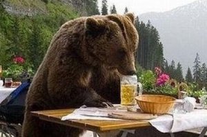 Он зараза без меня пиво пить начнёт бывает так потом буянит и самому идти приходиться, он же не маленький как коала