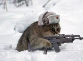 Кот отстреливается из пулемета