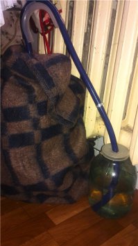 Моя зреет-булькает:)