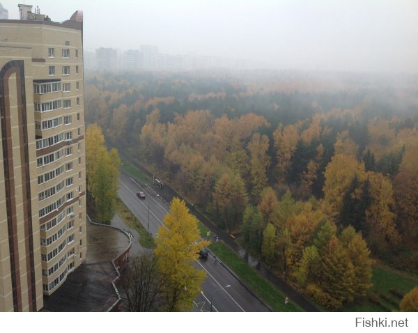 А это мой вид из окна (осень, туман).