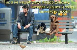 Фишкина солянка за 19.08.2014