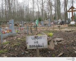 Любителям рыбалки посвящается
