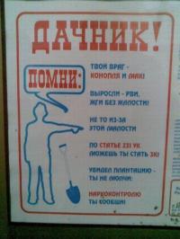 Маразмы месяца