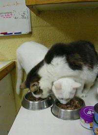 В нужный момент