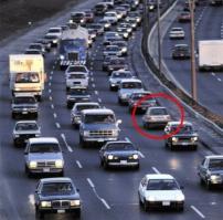 Беспредельщики, восставшие против системы