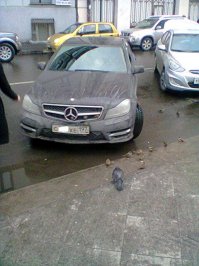 На последней (если плохо видно) воробьи греються на решетке радиатора.