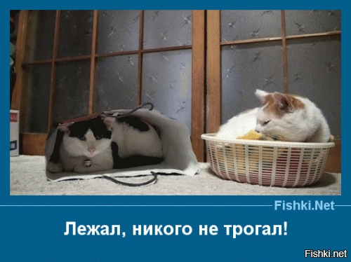 Из солянки от 10.04.2015