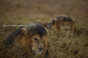 Лучшие фотографии года