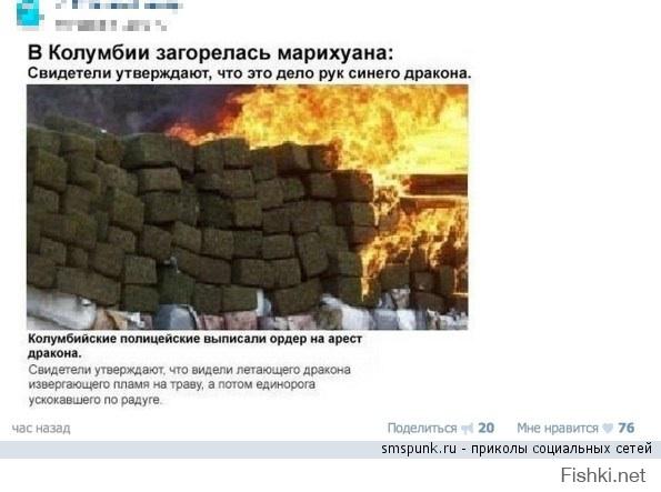 Фишкина солянка за 03.09.2014