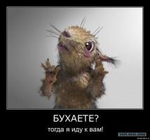 Селфи с белкой пошло не по плану