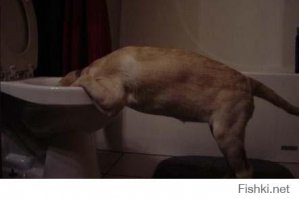 Кубинские транссексуалы до и после операции по смене пола 