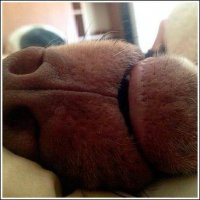 "Проснулся, решил посмотреть на жену. Повернулся"