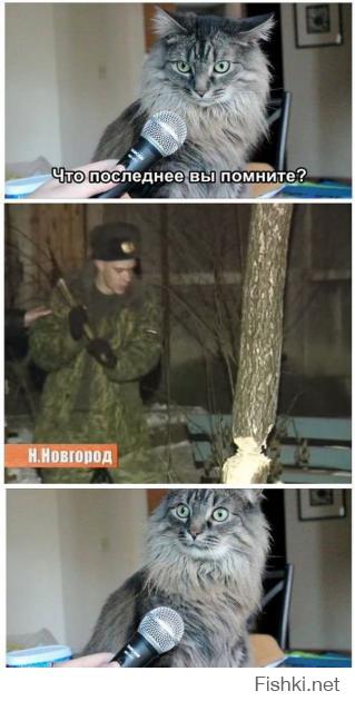 я так давно не смеялась)))