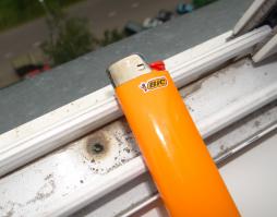 Вырос в прошлом году у меня на балконе в раздвижных окнах )) 
Это же надо было ветром занести в эту крошечную дырочку какое-то зернышко на 12 этаж!