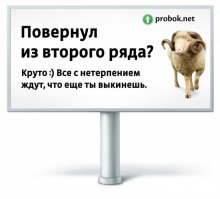 Дети-маугли: чужой среди своих