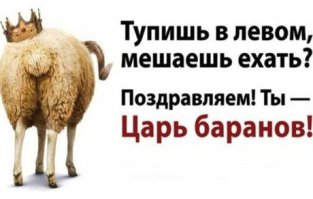 Дети-маугли: чужой среди своих