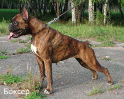 Как вы их путаете))))