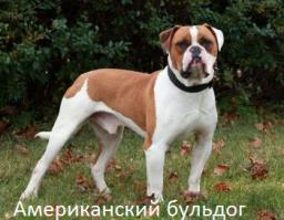 Как вы их путаете))))