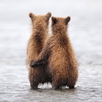 50 сладких парочек