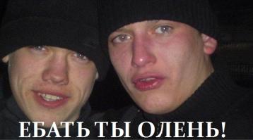 Жук-олень