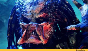 А где же Хищник????