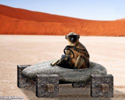 Извините, не удержался.