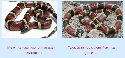 Да, да. А щас все машины так и блещут разнообразием дизайнов.
Тойоты новые я с морды вообще не различаю (уж извините, не слежу за автопромом, просто езжу).
Дастер, Террано и ещё пару одноклассников с задницы путаю три раза из четырёх. Страшный ниссан-джук ещё узнаётся.
Все эти лексусы-финики ваще на одно лицо. Под слоем грязи логан, приора, калина и ещё не знаю сколько разных моделей могут прятаться.

Отдельно стоит упомянуть сравнение машин по картинкам.