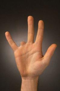 Интересно они, наверное при разводе поступают?