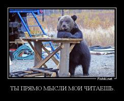 Миша отбился от трёх волков