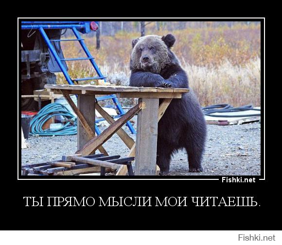 Миша отбился от трёх волков