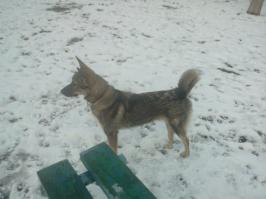 вот здесь лучше видно