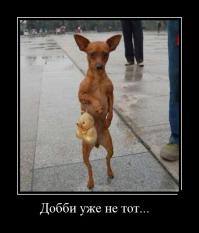 Демотиваторы 