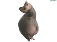 Животные, которые не сомневаются в своей крутости