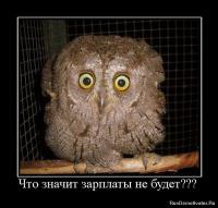 А это я, когда не дождусь: